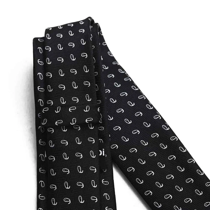Silk Paisley Tie