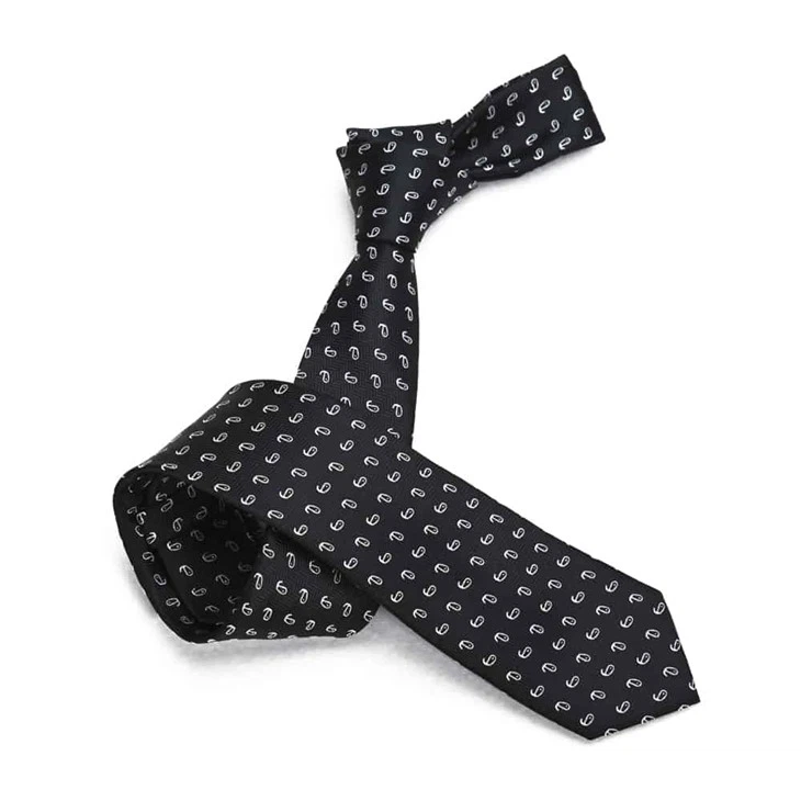Silk Paisley Tie